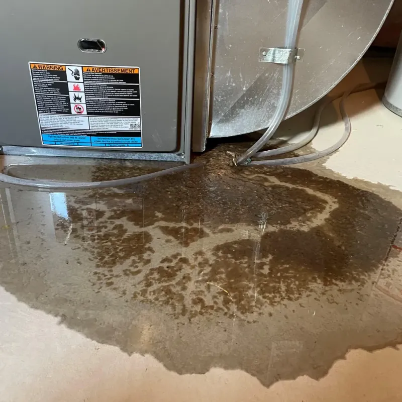 Appliance Leak Cleanup in Rockland County, NY